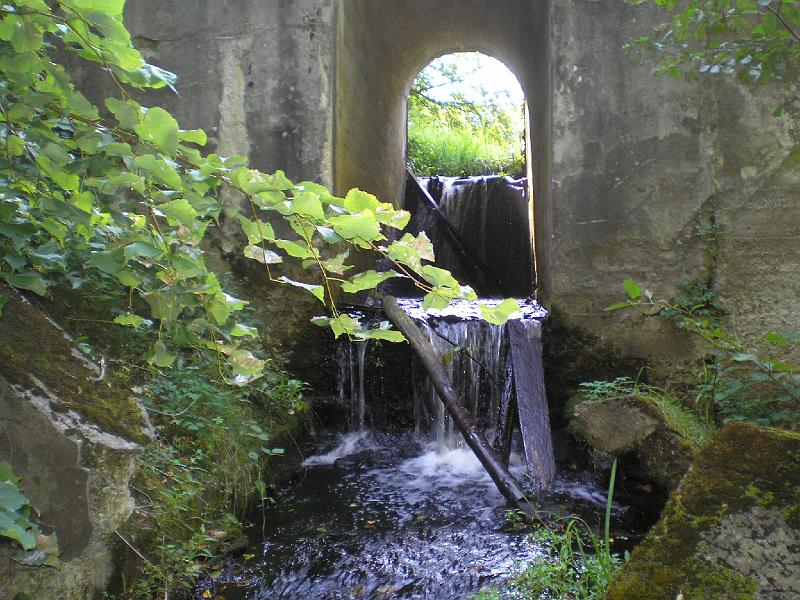 rowtras 018.jpg - c.d.